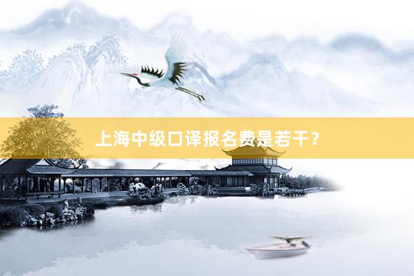 上海中级口译报名费是若干？