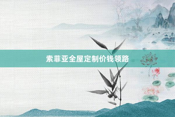 索菲亚全屋定制价钱领路