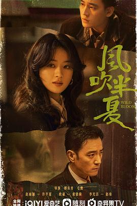 你都10000级了，外面最高30级 封面图